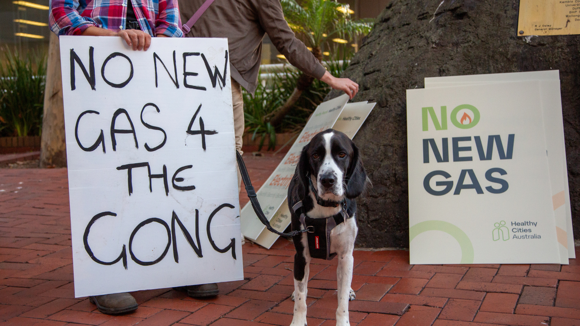 A dog stands on a brick walkway between protest signs reading “No New Gas 4 the Gong” and “No New Gas.”